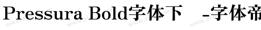 Pressura Bold字体下载字体转换